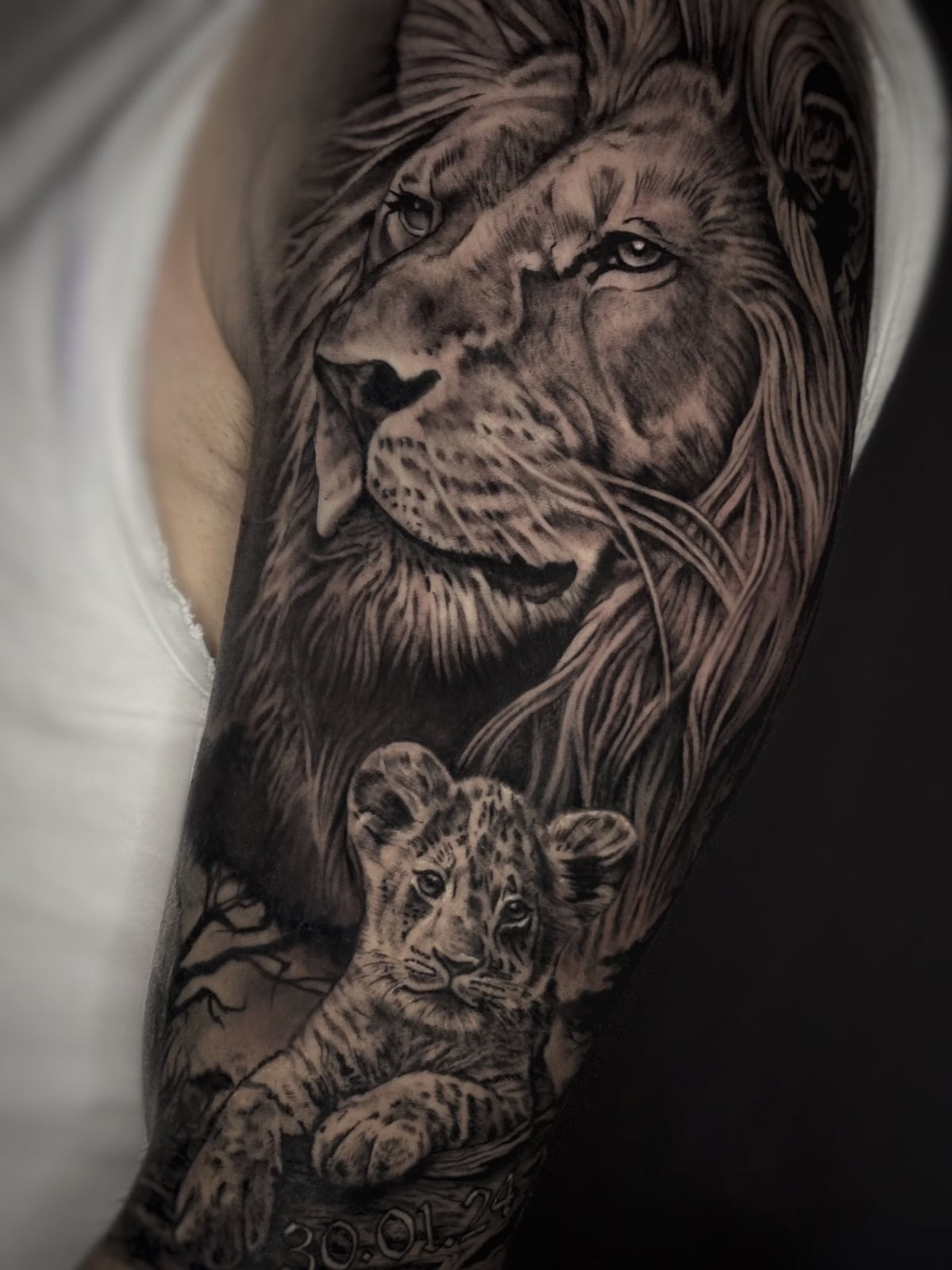 León y cachorro en negro y gris